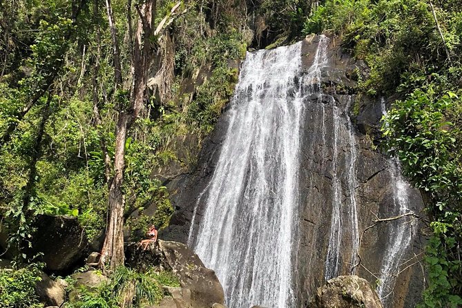 Discover El Yunque National Park: Half-Day Rainforest Tour - El Portal Visitor Center puts the forest in context
