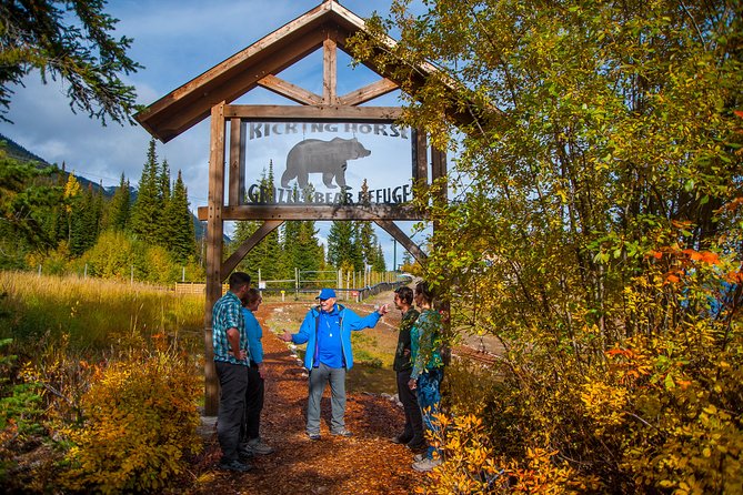 Discover Grizzly Bears from Banff - Riding the open chairlift to Kicking Horse