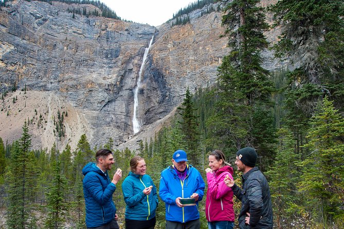 Discover Grizzly Bears from Banff - Weather, season, and backup plans