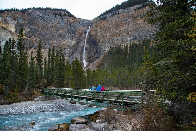 Discover Grizzly Bears from Banff - Emerald Lake in only 20 minutes