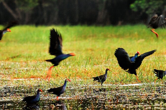 Discover Mua Xuan Nature Reserve - Guides make a real difference