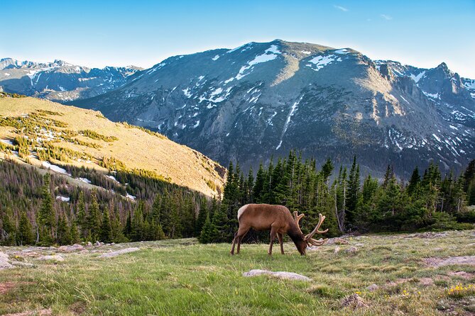 Discover Rocky Mountain National Park - Rocky Mountain National Park in one well-planned day