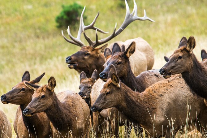 Discover Rocky Mountain National Park - Is $299 per person a fair price?