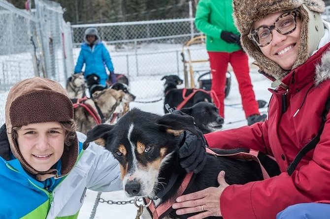 Dog Sledding - Subarctic Wilderness Tour - Key points at a glance