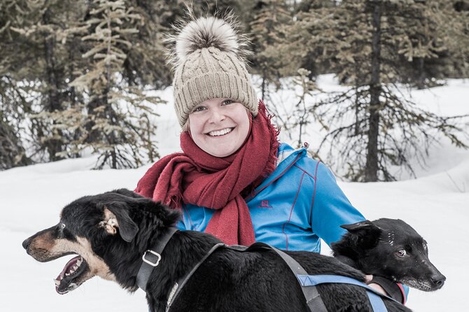 Dog Sledding - Subarctic Wilderness Tour - Meeting the puppies and lead dogs