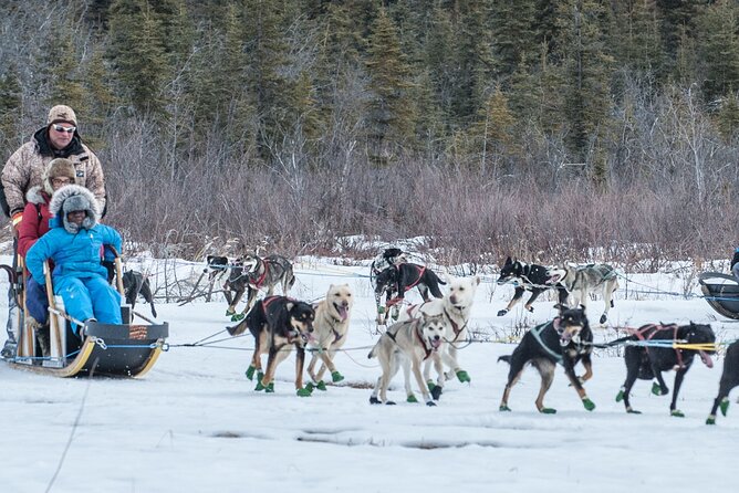 Dog Sledding - Subarctic Wilderness Tour - Is $210 per person a fair price?