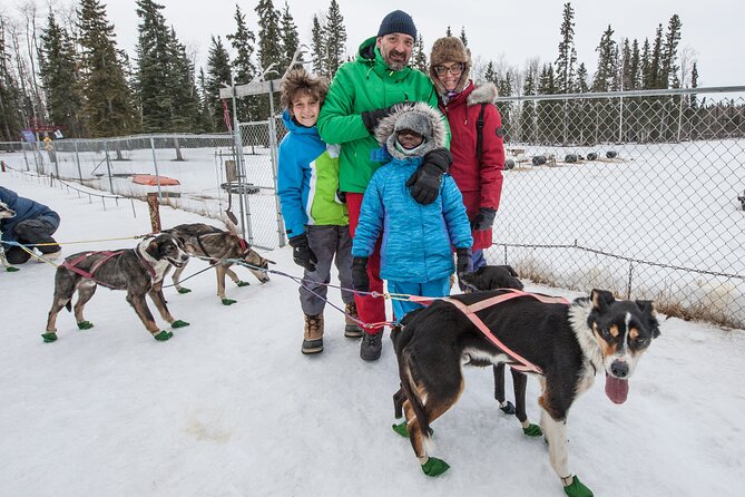 Dog Sledding - Subarctic Wilderness Tour - Who will enjoy this most?