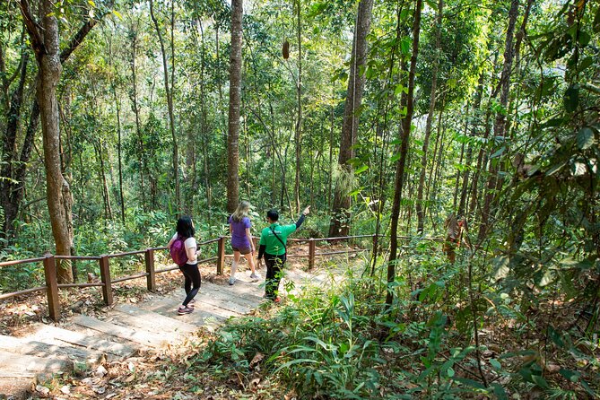 Doi Inthanon National Park Eco-Friendly Full Day Tour - Lunch, village customs, and locally grown coffee