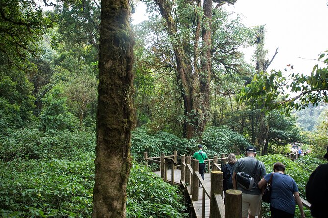 Doi Inthanon National Park Eco-Friendly Full Day Tour - Guides, vans, and the feel of the day