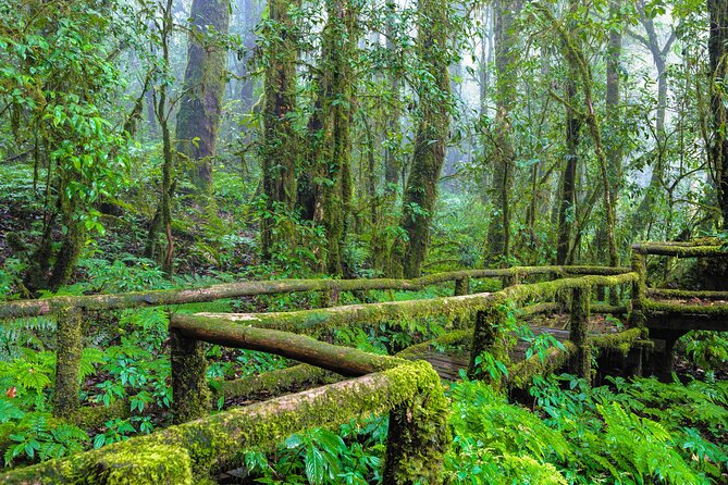Doi Inthanon National Park, Waterfall & Royal Project Day Tour From Chiang Mai - Sirithan Falls offers a quieter pause