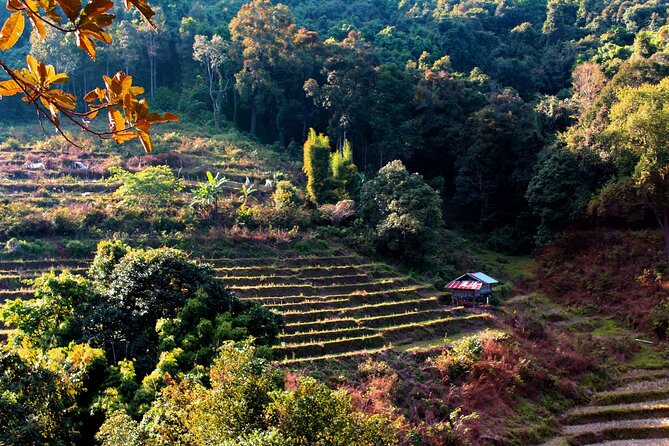 Doi Inthanon National Park, Waterfall & Royal Project Day Tour From Chiang Mai - Reaching Thailand’s highest point