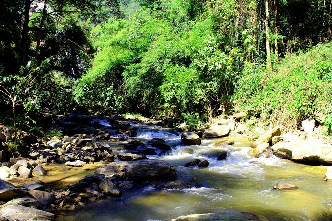 Doi Inthanon National Park, Waterfall & Royal Project Day Tour From Chiang Mai - Ban Mae Klang Luang and the hill-village visits