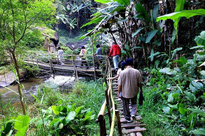 Doi Inthanon National Park, Waterfall & Royal Project Day Tour From Chiang Mai - Lunch is simple, useful, and included