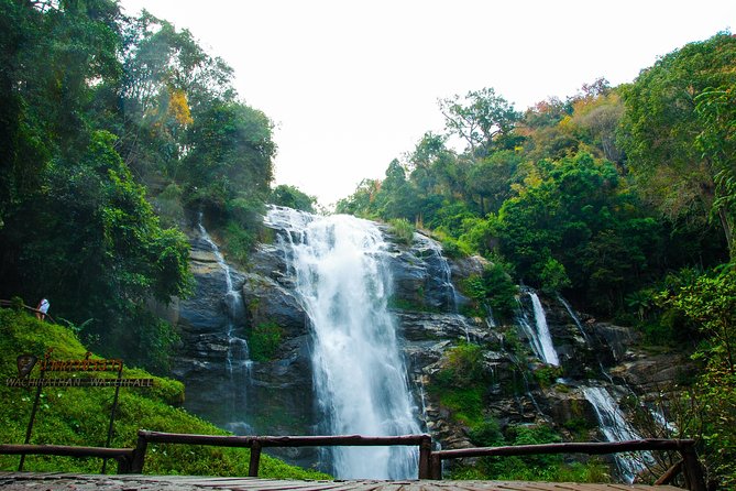 Doi Inthanon National Park with Nature Trail Trekking 1-Day Tour - Choosing the right seasonal nature trail