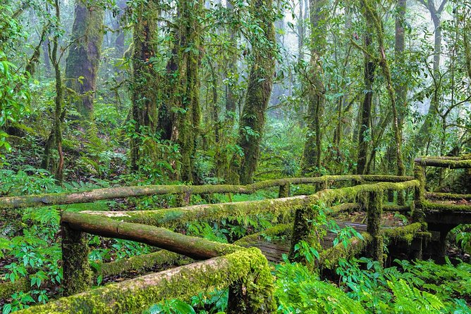 Doi Inthanon Waterfall and Royal Project Chiang Mai - Thai lunch and the practical comfort of a small group