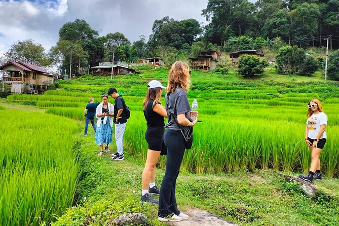 Doi Inthanon Waterfall and Royal Project Chiang Mai - Ang Ka Nature Trail: short, cool, and easy to underestimate