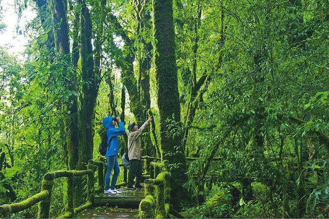 Doi Inthanon Waterfall and Royal Project Chiang Mai - Thailand’s highest point, and what you should actually expect