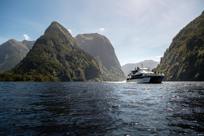 Doubtful Sound Wilderness Day Cruise from Manapouri - Key points to know before you book