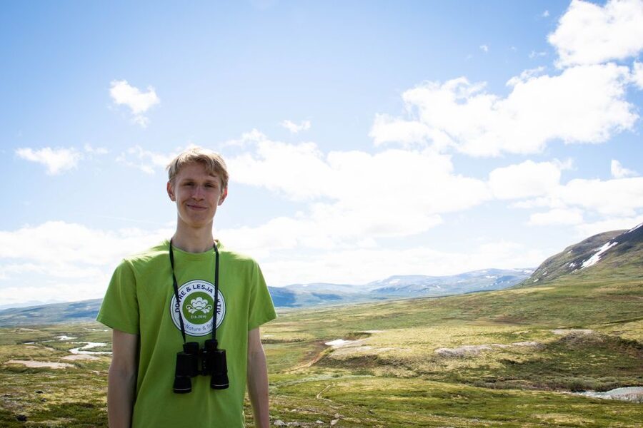 Dovrefjell National Park: Hiking Tour and Musk Ox Safari - Searching for musk ox in Dovrefjell