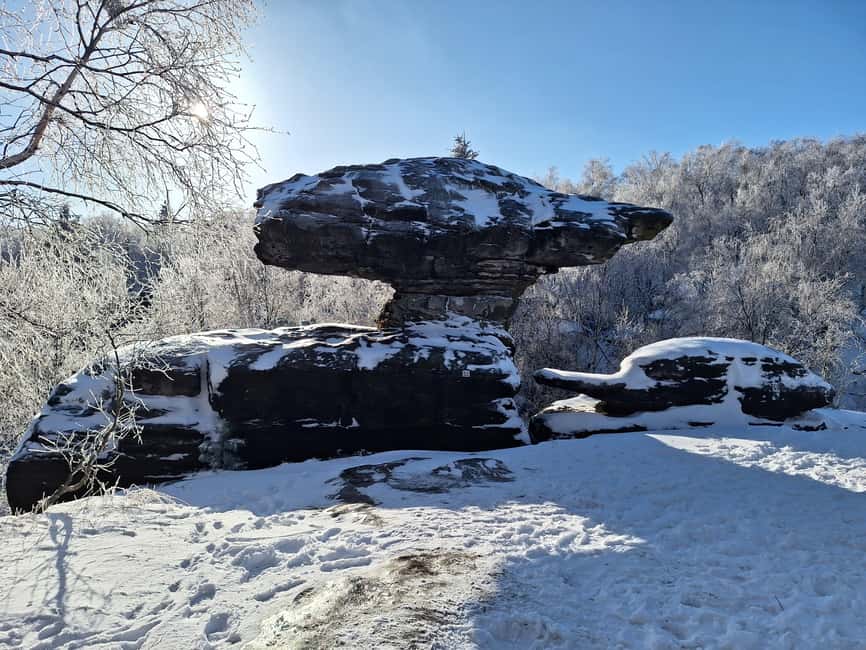 Dresden: Bohemian and Saxon Switzerland Small Group Tour - What the guides and drivers add