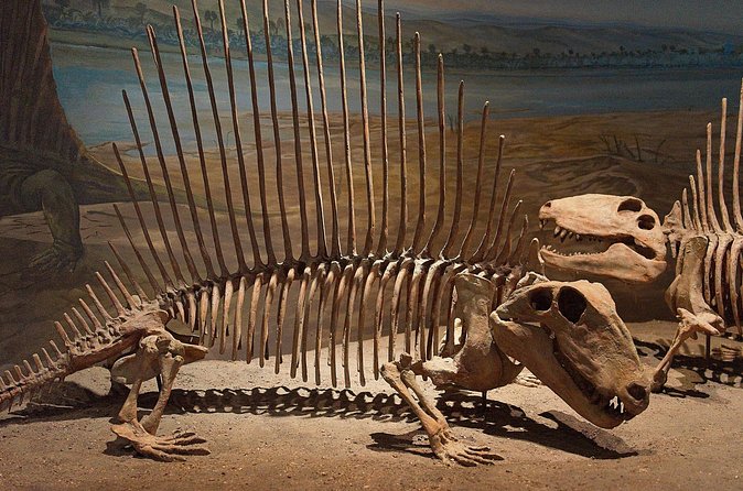 Drumheller and Badlands Full-Day Tour with a Small Group - Who Will Enjoy This Day, and Who May Not