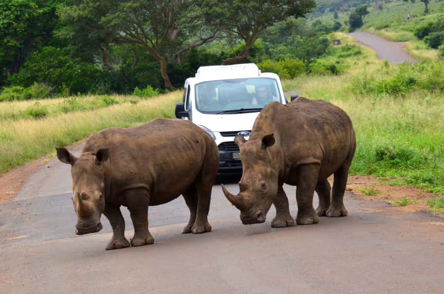 Durban: Hluhluwe Imfolozi Safari & iSimangaliso Tour - Lunch near the top of the park