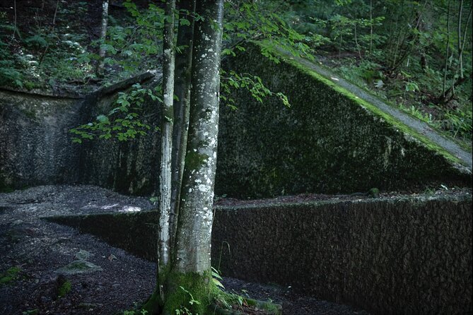 Eagle's Nest-Berchtesgaden-Obersalzberg Private Half Day WWII Historical Tour - What the guides add to the experience