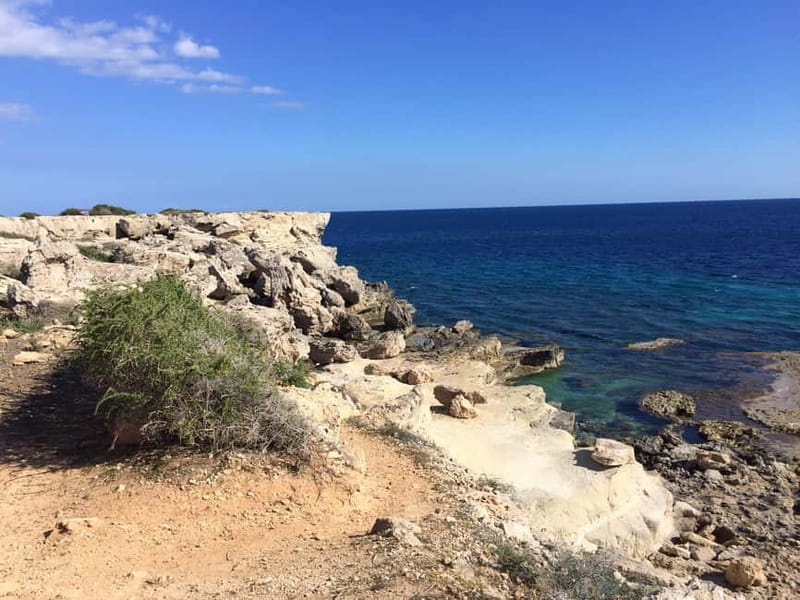 East Coast National Park: Half-Day Caves Jeep Safari - Morning or afternoon?