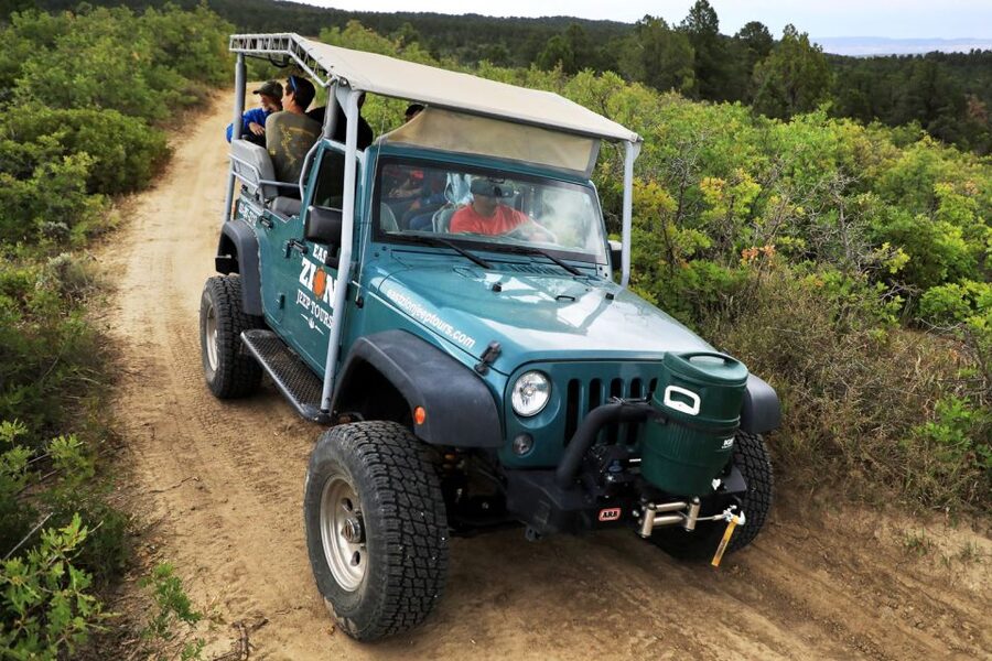 East Zion: 1-Hour East Rim Jeep Tour - A quick Jeep ride into East Zion’s backcountry