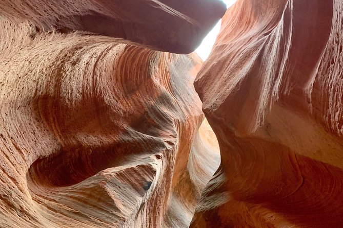 East Zion 4 Hour Slot Canyon Canyoneering UTV Tour - Is $174 a fair price?