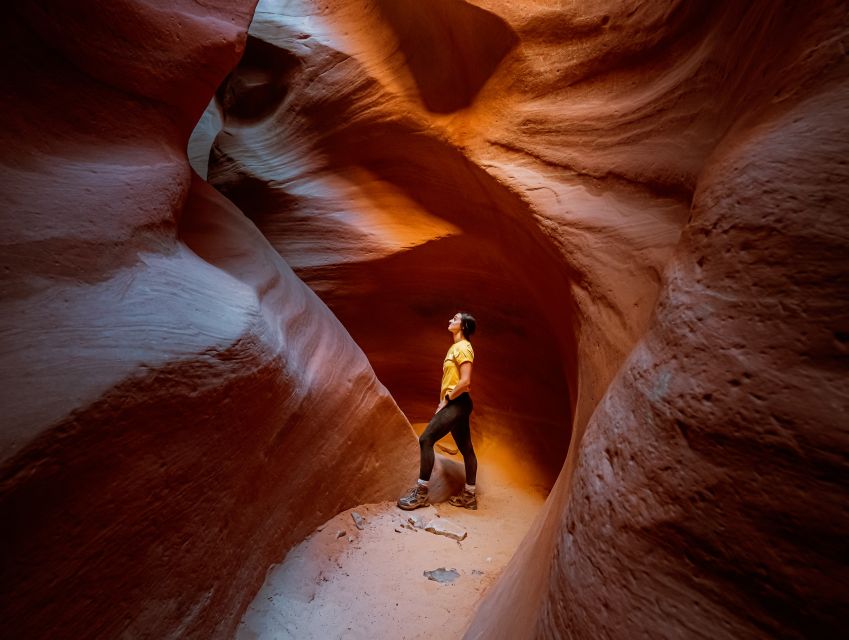 East Zion: Crimson Slot Canyon Exploration and UTV Tour - The UTV ride into East Zion