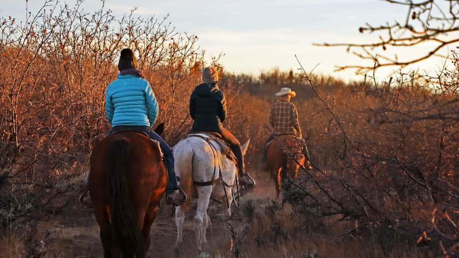East Zion: Pine Knoll Horseback Tour - The summit view over Southern Utah
