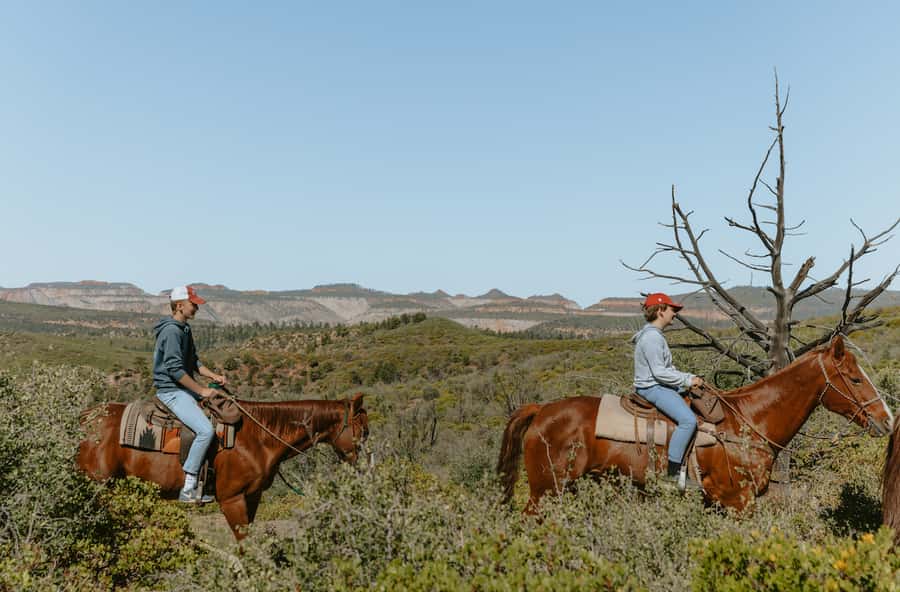 East Zion: Pine Knoll Horseback Tour - Climbing Pine Knoll through the desert forest