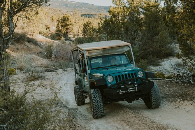 East Zion Top of the World Jeep Tour - What the small group size changes