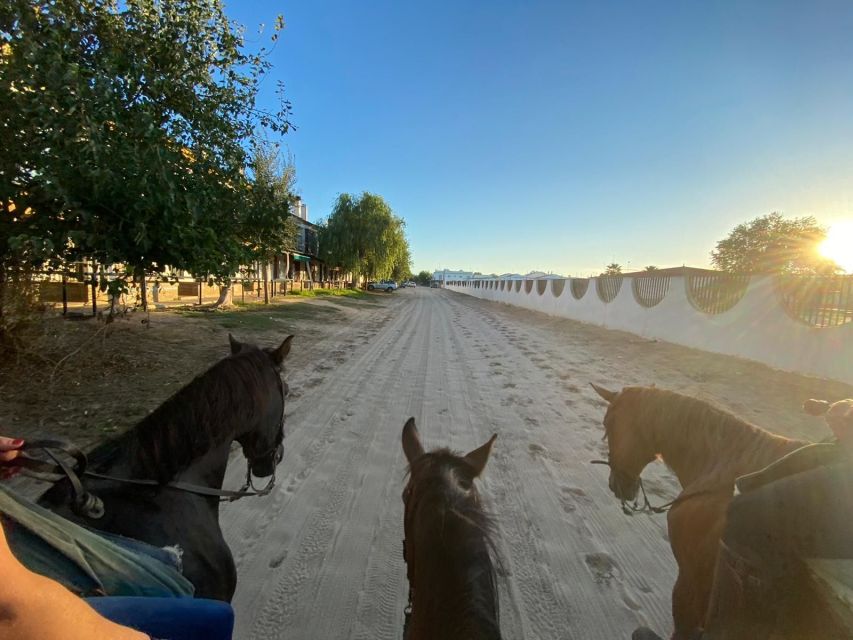El Rocío: Doñana National Park Horseback Riding Tour - Practical details for a smoother ride
