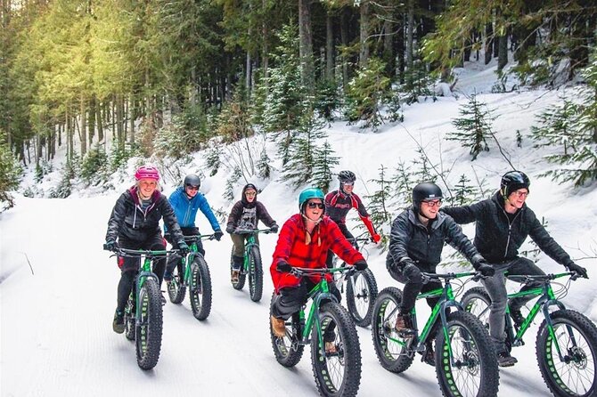 Electric Fat Biking Adventure in Banff | Small Group Adventure - Fenland Trail: an easy taste of the woods