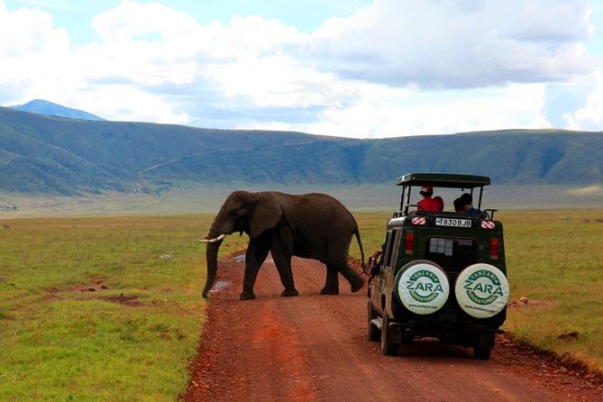 Elephant Special Serengeti & Ngorongoro Crater 5 Days / 4 Nights - Day 5: Lake Manyara’s forest, lake, and escarpment