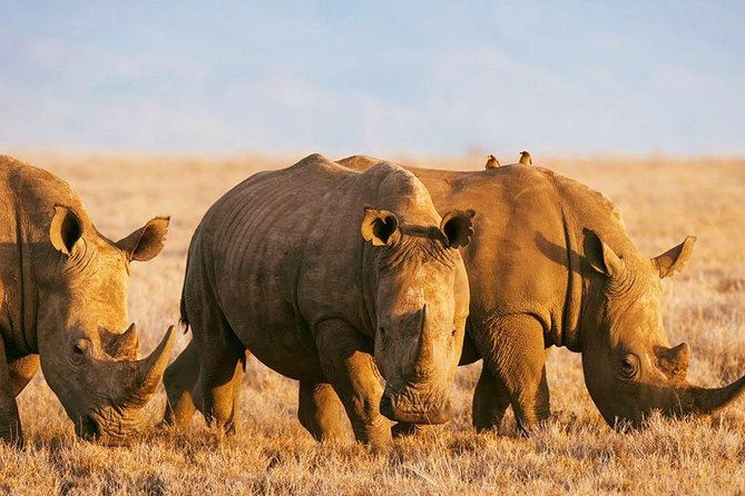 Elephant Special Serengeti & Ngorongoro Crater 5 Days / 4 Nights - What the vehicle and group size mean for you