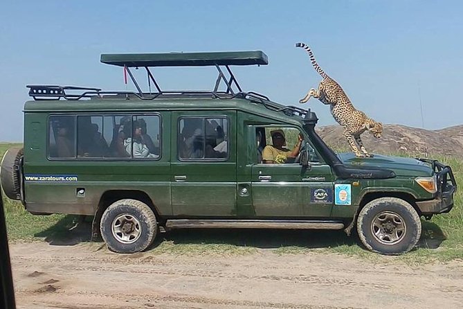 Elephant Special Serengeti & Ngorongoro Crater 5 Days / 4 Nights - Accommodation, meals, and what is included