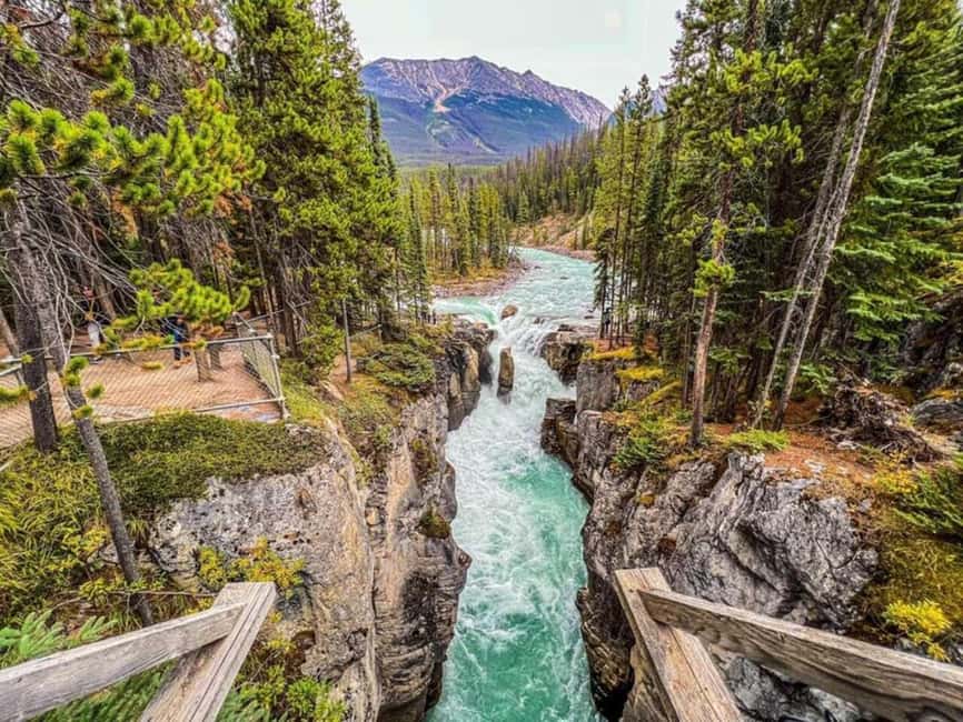 Emerald Lake, Lake Louise, Johnston Lake & Banff Gondola - Key points to know before booking
