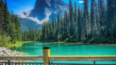 Emerald Lake, Moraine, Louise, Johnston Canyon & Banff Town