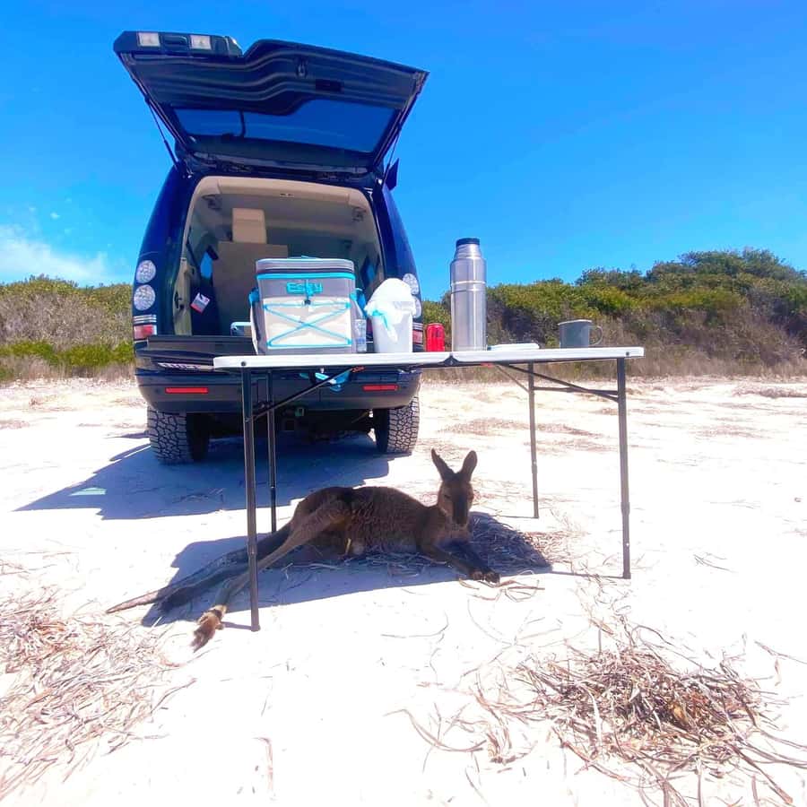 Esperance: Cape Le Grand National Park 4x4 Beach Adventure - The sharp climb up Wylie Rock