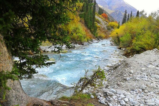 Essential Day Trip to Ala Archa National Park - Who will enjoy this outing most