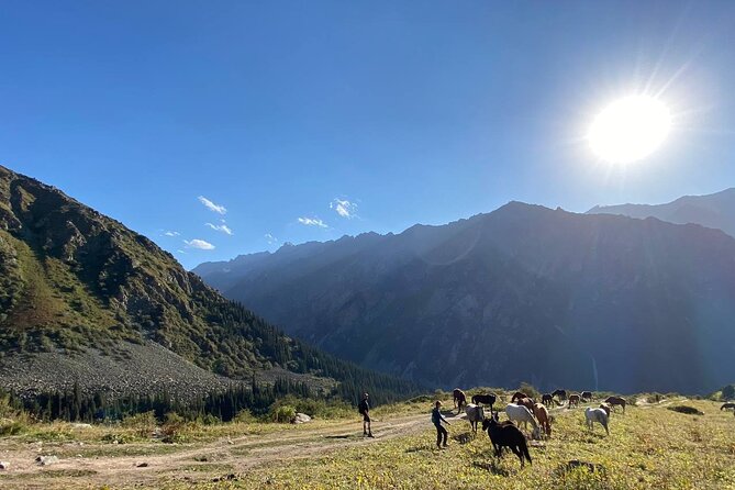 Essential Day Trip to Ala Archa National Park - What makes the five-hour park visit worthwhile