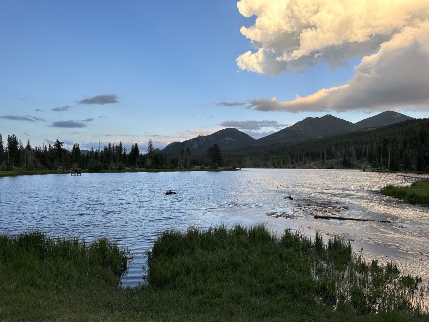 Estes Park: Rocky Mountain National Park Glass-Top Bus Tour - Wildlife without the stress of driving