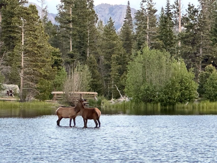 Estes Park: Rocky Mountain National Park Glass-Top Bus Tour - Trail Ridge Road and the 12,183-foot high point