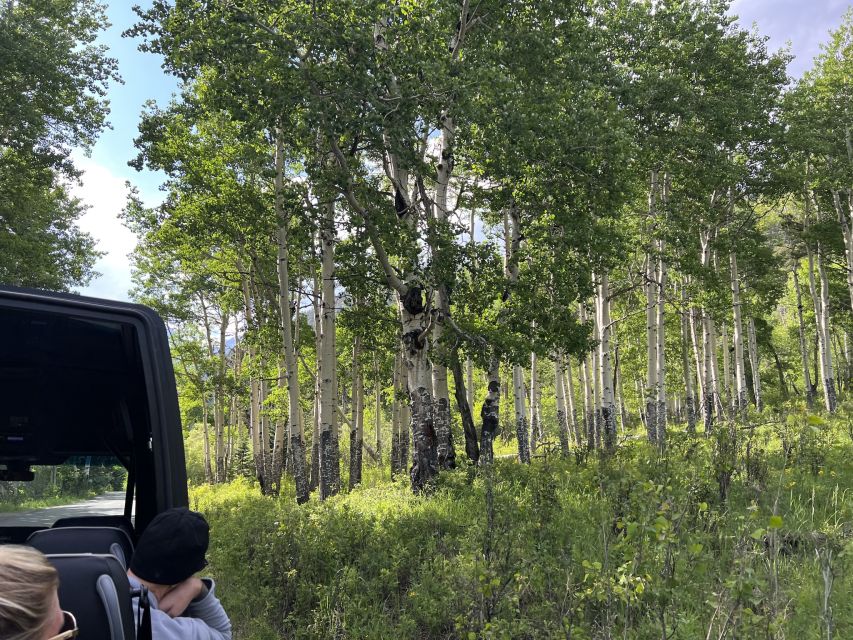 Estes Park: Rocky Mountain National Park Glass-Top Bus Tour - What the guide adds to the experience