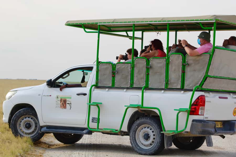 Etosha National Park: Full or Half-Day Game Drive - Why an open 4x4 makes a difference in Etosha