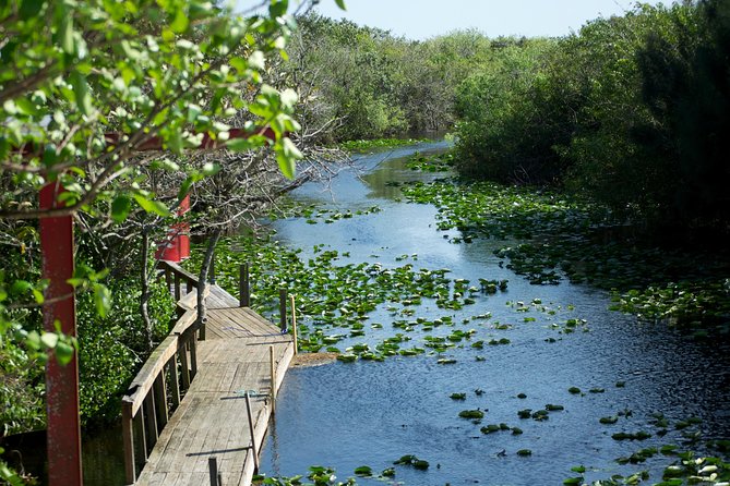 Everglades Airboat, Wildlife Show, and Roundtrip Bus From Miami - Simple ways to make the day better