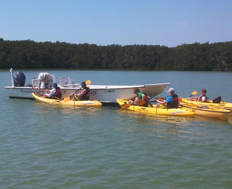 Everglades: Boat Assisted Kayak Eco Tour - Key points to know before booking